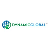 Dynamic Global logo - Similar company to A Tailored Method, Llc