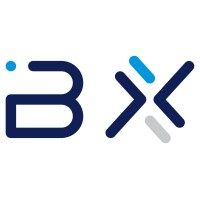Bearex logo - Similar company to Dbd.Net