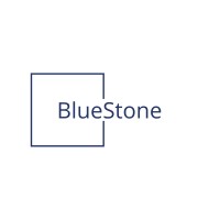 BlueStone Africa logo - Similar company to Ergosense (Pty) Ltd