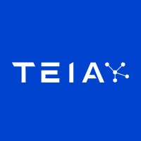 TEIA Tecnologia, Engenharia, Inovação e Aperfeiçoamento logo - Similar company to Daimon Engenharia E Sistemas