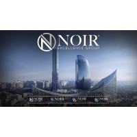 Noir Excellence Group logo - Similar company to Algoz Group