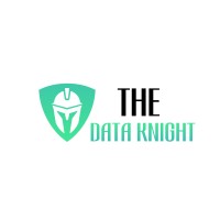The Data Knight logo - Similar company to Analythical