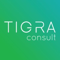 Tigra Consult logo - Similar company to Bruzza Tech
