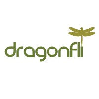 Dragonfli Limited logo - Similar company to Vermako