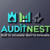 AuditNest Risk Advisors and Corporate Consultants LLP logo - Similar company to Parshwanatha Multifunctional Industries Private Limited