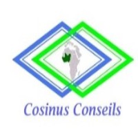 Cosinus Conseils logo - Similar company to Sino-Tech