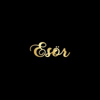 Retail foods - Esor logo - Similar company to Retail India Supplier Co.