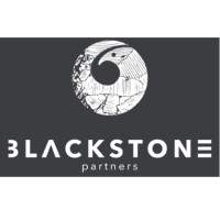 Blackstone Partners (Pty) Ltd logo - Similar company to Ingram Wealth