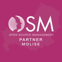 OSM Molise logo - Similar company to Iti System