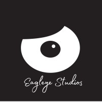 Eagleye Studios logo - Similar company to Vector And Beyond