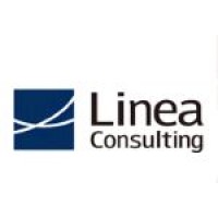 リネアコンサルティング株式会社 logo - Similar company to Ben Dror Group