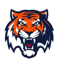 TigerBowl Ltd (Stafford) logo - Similar company to Freedom Support Ltd