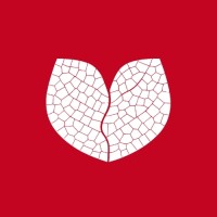 Branches logo - Similar company to Suite101