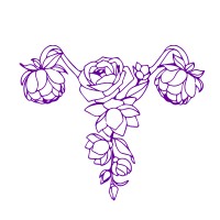 Stay Curious Club logo - Similar company to Aosocial