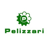Pelizzari s.r.l. logo - Similar company to Sorgenia S.P.A.