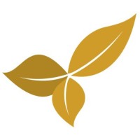 innochain kapital logo - Similar company to Aleo Finances International