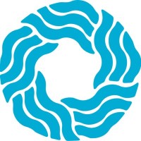 Blue Ocean Watch logo - Similar company to Ibridge Global Partners