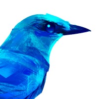 Blue Jay Solutions logo - Similar company to Synctal Solutions