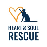 Heart & Soul Rescue logo - Similar company to Victorian Schools' Rugby Union
