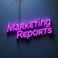 Marketing Reports Insight logo - Similar company to Tedxbuckheadave.