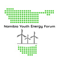 Namibia Youth Energy Forum logo - Similar company to Namibia Investment Promotion And Development Board (Nipdb)