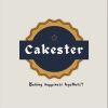 Cakester logo - Similar company to Sos | Built Different