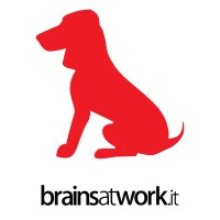 Brains at Work logo - Similar company to Wearefactory