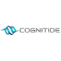 Cognitide Consulting Ltd. logo - Similar company to Cognitude Consultancy Private Limited
