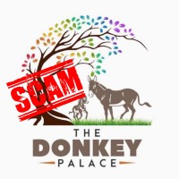 Exposing Donkey Palace - A fraud by Babu U & Girisoundar S logo - Similar company to Olivie