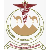 Bolan University of Medical and Health Sciences Quetta Pakistan logo - Similar company to Infinity International School