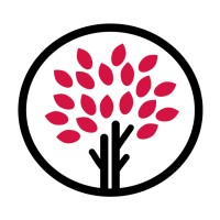 olivorojo | Experts in Challenger brands logo - Similar company to Yellow (Yellowlearning.Org)