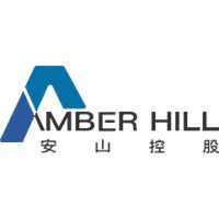 Amber Hill Holdings Ltd. logo - Similar company to Lee & Yu Cpa 李志輝·余仲良會計師事務所