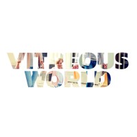 Vitreous World logo - Similar company to Touchstone Partners