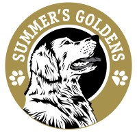 Summer's Goldens