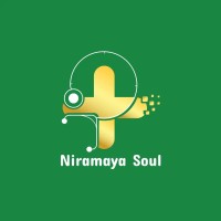 Niramaya Soul logo - Similar company to Bluvo Digital