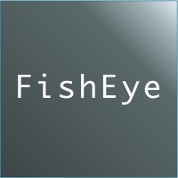 FishEye Consulting logo - Similar company to Notilus Io