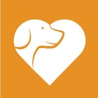 Carson And Bear Dog Wellness Program