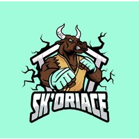 BDS Sk'oriace logo - Similar company to Bureau Des Sports Skema Lille 2023