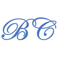Bressan Consulting & Associati logo - Similar company to Bt Consulting