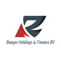 Bangor Holdings & Finance B.V. logo - Similar company to Vtc Ev Car