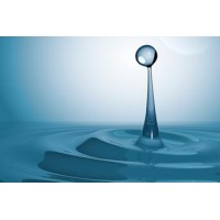 Darling H2O Consulting Inc