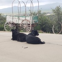 Are You Looking for a New Way to Make Money? logo - Similar company to Lab Connections