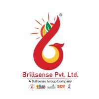 Brillsense Private Limited logo - Similar company to Profilics Systems Pvt. Ltd.