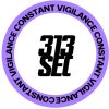 313SEC logo - Similar company to Inmydata