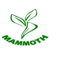 Mammoth Services logo - Similar company to Modern Building Technologies Technical Services Llc