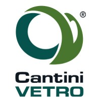 CANTINI VETRO logo - Similar company to Hanuna