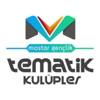 Tematik Gençlik Gelişim Kulüpleri logo - Similar company to Veri Endüstri