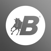 Boeris Bikes logo - Similar company to Olmo Bikes Sa