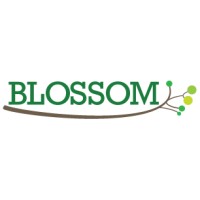 Blossom: E-Learning For Serious Do-Gooders