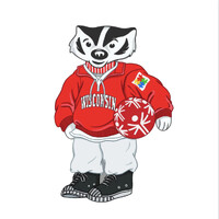 Badgers For Special Olympics